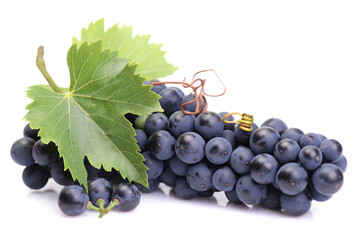 Wall Mural - Bunch grape isolated 