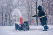 © Denys Kurbatov - Municipal worker cleaning road from snow in public park using snowblower machine, Snow-clearing in progress: A dedicated city worker utilizing a snowblower to keep the park road clear.