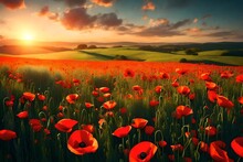 Beautiful Nature Background With Red Poppy Flower Poppy In The Sunset In The Field. Remembrance Day, Veterans Day, Lest We Forget Concept. 3d Render
