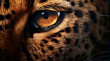 Exquisite Macro Capture Of Leopard Details With Photorealistic Cinematic Lighting