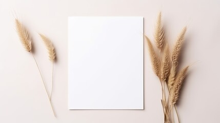 Poster - Minimal brand template with blank cards dry pampas grass on white background for flat lay . Mockup image