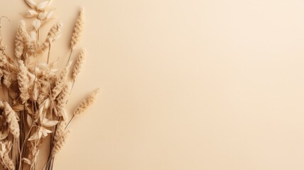 Poster - Flowers and branch on beige background laid flat with space for text mockup