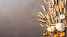 Miniature Pumpkins And Dried Grass In Autumnal Or Holiday Themed Arrangement Blank Space For Text Overhead View. Mockup Image