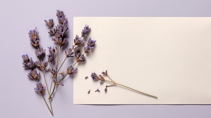 Poster - Top view of lavender and eucalyptus twigs on greeting card mockup with envelope with space to write