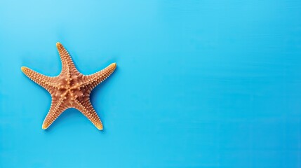 Poster - Table with blue background featuring starfish and empty space for text evoking a vacation and summer theme. Mockup image