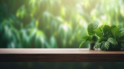 Aufkleber - Product display concept with eco friendly interior d cor Leaf shadow and indoor green plant foreground panoramic banner mockup