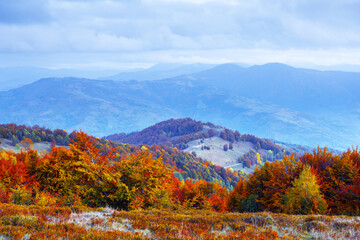 Wall Mural - Autumn mountains with orange forest and blue hills. Landscape photography