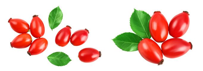 Wall Mural - Rose hip isolated on a white background with full depth of field. Top view. Flat lay.