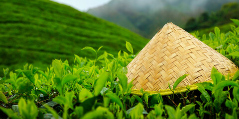 Wall Mural - bamboo hat laying on tea at cameron highlands ,in Malaysia