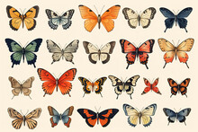Colored Butterflies Of Different Types, On A White Background.