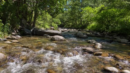 Wall Mural - timelapse of a river in the forest