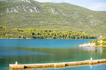 Wall Mural - Coastline beach and little town in croatia around Dubrovnik