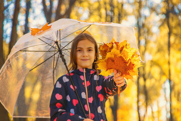 Wall Mural - Autumn child in the park with yellow leaves. Selective focus.