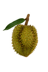 Wall Mural - King of fruit, Durian fruit thai with isolated on white background, PNG