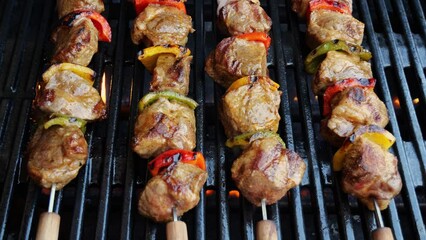 Sticker - Grilled cooked pork meat on skewer with vegetables. Grilling food. Outdoor. Picnic