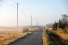 View Of Power Line Along Country Road At Foggy Day