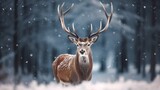 Fototapeta Zwierzęta - noble deer male in snow forest, winter landscape, christmas background