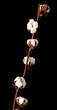 a sprig of cotton lies on a black background