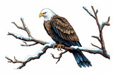 Fototapeta  - Eagle Carton Tail on Tree Branch