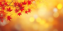 Nature Palette. Symphony Of Autumn Hues. Gilded Beauty. Exploring Brilliance Of Fall Foliage. Sun Kissed Leaves. Capturing Warmth And Charm