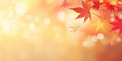 Wall Mural - Nature palette. Symphony of autumn hues. Gilded beauty. Exploring brilliance of fall foliage. Sun kissed leaves. Capturing warmth and charm