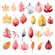 Autumn Leaves Collection, Set Of Autumn Pumpkins And Leaves In Vector Water Color Illustration Style, Isolated On White
