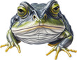 african bullfrog head 2 line icon