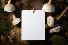 A White Card, A Postcard Stands In The Forest With Mushrooms