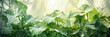 canvas print picture - Philodendron, tropisch surreal. Generiert mit KI