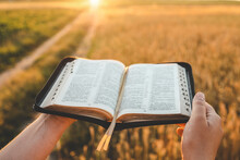Open Bible In Hands, Wheat Field And Road, Christian Concept