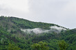 Kleine Wolke hängt an einem nebligem Tag im bewaldetem Berghang in Rumänien
