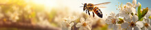 A Banner Photo Of A Bee In Nature