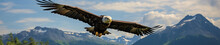 A Banner Photo Of A Eagle In Nature
