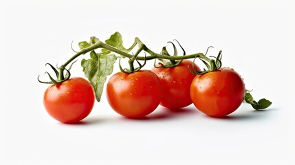 Poster - Three tomato plants grow against a white background.