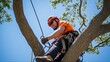 Professional Tree Cabling and Bracing to Maintain Healthy Trees. Elastic Cable Braces Reduce Tree Branch Damage. Installation by Tree Care Doctor. Generative AI