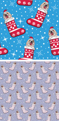 Wall Mural - Coton de Tulear Dog Breed Christmas pattern. Dog head in stockings, seamless pattern. Repeatable textile, wrapping paper, blue background, violet color. Winter wallpaper with snowflakes and stockings
