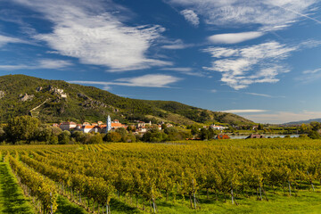 Canvas Print - Wachau valley near Durnstein, UNESCO site, landscape with vineyards, Austria