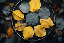 On A Crisp Autumn Day, The Ground Is Blanketed In A Mosaic Of Vibrant Yellow And Black Leaves, Creating A Captivating Contrast Of Colors And Textures