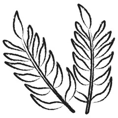  Hand drawn Tropical Leaf icon