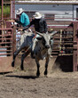 A cowboy at a rodeo is riding a bucking bull. He is staying on. There is a red metal gate and railing behind him. He is wearing a black vest  and blue jeans. The bull is white.