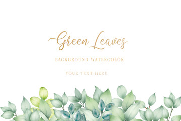 beautiful green leaves background watercolor