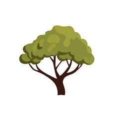 Simple cartoon tree, green tree flat illustration, isolated on white background