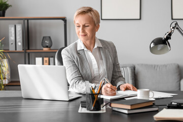 Poster - Mature businesswoman working  in office