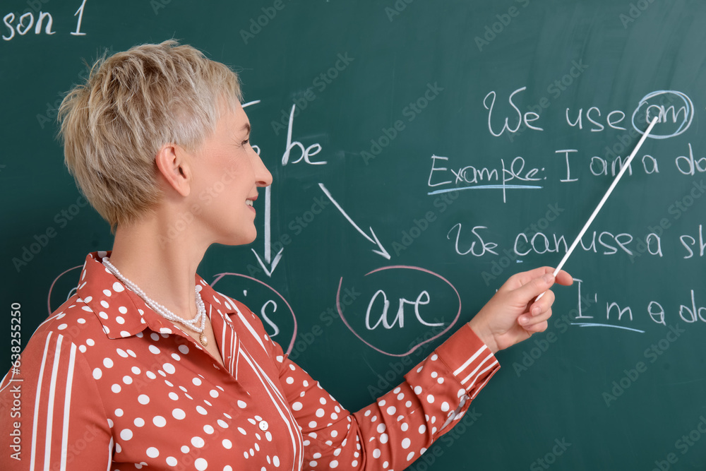 Female English teacher conducting grammar lesson in classroom