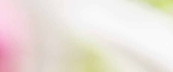 Wall Mural - Light green bokeh nature background, colorful soft light background, abstract trendy color gradient texture background.
