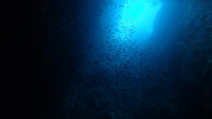 Wall Mural - Diving in Croatia Adriatic Sea blue cave 