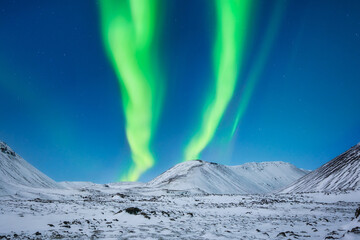 Wall Mural - aurora borealis. northern lights and clear skies. nature. scandinavian countries. snow and ice in th