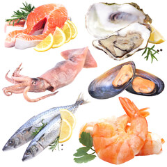 Wall Mural - Fresh seafood isolated