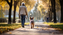 Gray-haired Short-haired Old Woman Take Your Miniature Schnauzer For A Walk Alone In A Shady Park. An Old Woman Has A Dog To Accompany Her In Her Old Age. Walk With Your Dog To Relieve Loneliness.