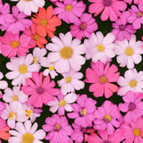 Fototapeta Krajobraz - [Generative AI] Flowers, pattern, 花